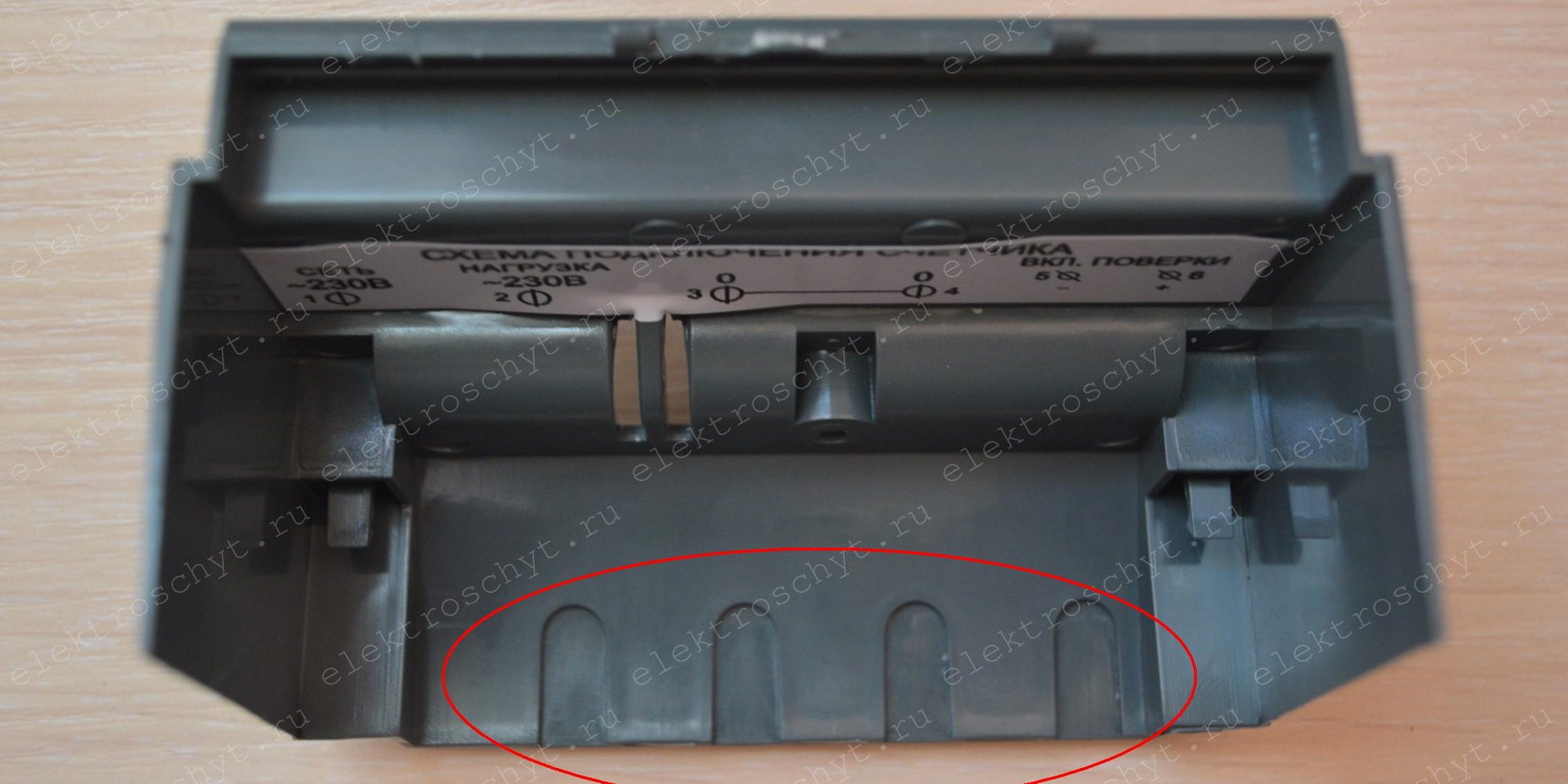 pp_image_2347_7zri6g5qttcofile-wo.jpg