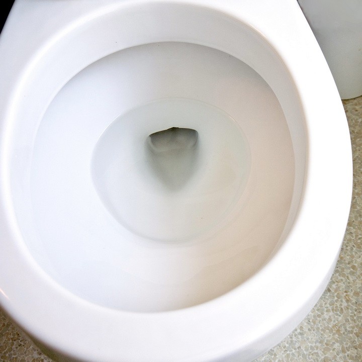 cola-toilet-4_novyj-razmer.jpg