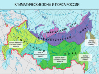 Klimaticheskie-pojasa-i-oblasti-Rossii-smart-poliv.ru_-320x240.jpg