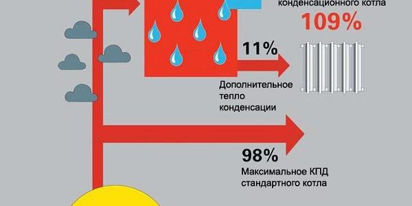 pp_image_8580_olbr1aqpqtteplonet.ru_.jpg