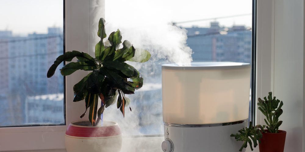 pp_image_87797_dqbtpb3wrtlionesse-cool-versus-warm-air-humidifiers-steam.jpg