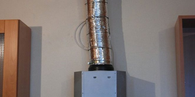 pp_image_90204_obgxqgzkjtiz-gofry.jpg